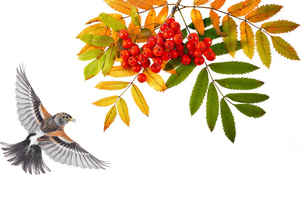 Единый онлайн-семинар 1С⠀⠀⠀⠀⠀⠀⠀⠀ 09 октября 2024